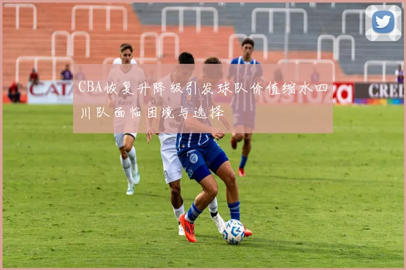 CBA恢复升降级引发球队价值缩水四川队面临困境与选择